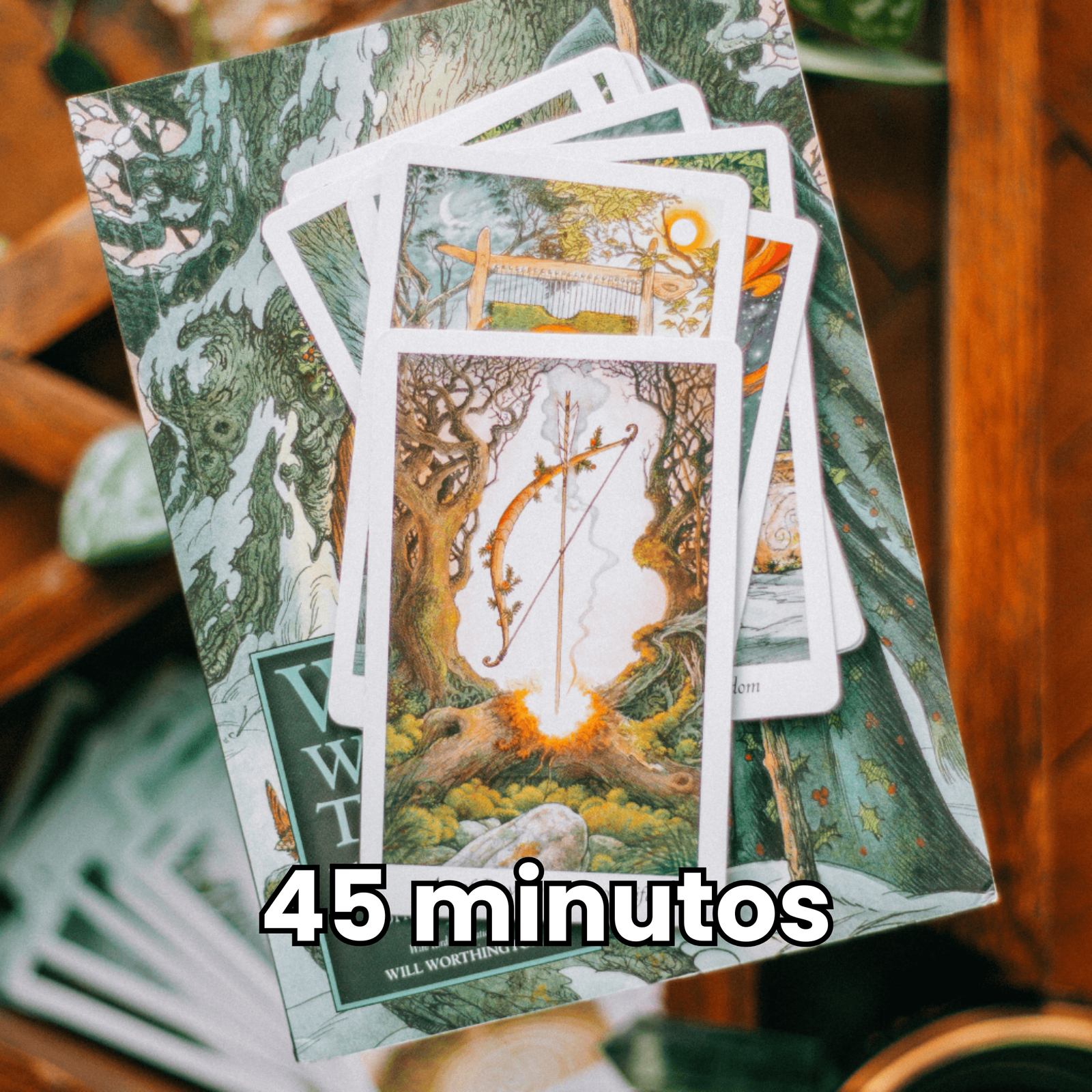 Sessão_45_45_minutos